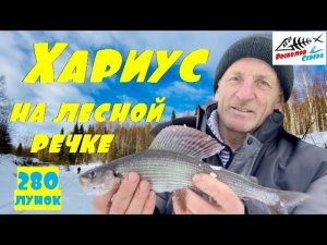 Рыбалка на хариуса зимой 2021. Хариус на таёжной речке. Рыбалка на хариуса в глубинке Арх. области