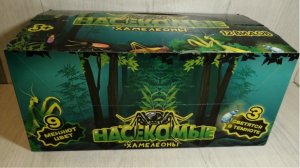 Насекомые из Красное-Белое