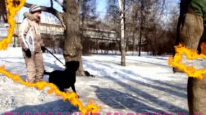 БЕРЕГИТЕСЬ ЖЕНЩИН!"ЖЕЛЕЗНАЯ ЛАПА" ПОЗДРАВЛЯЕТ!