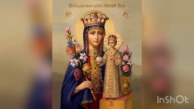 «Неувядаемый цвет» икона Пресвятой Богородицы. Редкая чудотворная очень красивая икона Божией Матер