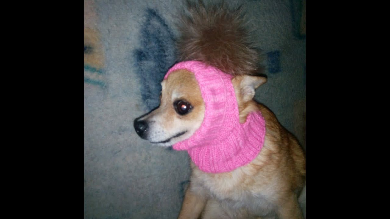 Вязаная шапочка для собачки. Вяжем на машине Нева 2. смотреть онлайн
