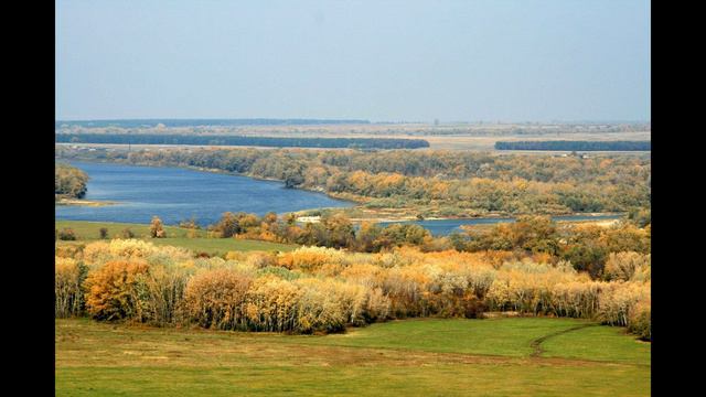 Анна Топеха. Михаилу Шолохову