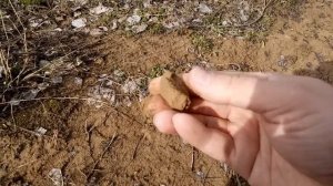 Где взять глину для лепки.