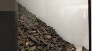 Государственный музей Аушвиц-Биркенау