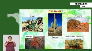 7 класс - РУ - География - №5 - Природный комплекс. Природные зоны земли