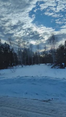 Зима-зима, кругом зима