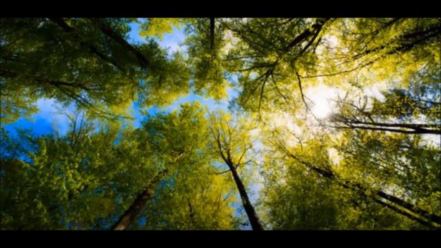 Мне не дано...сл.Е.Вертинская смотреть онлайн