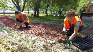 На цветниках СВАО высадили летнюю рассаду