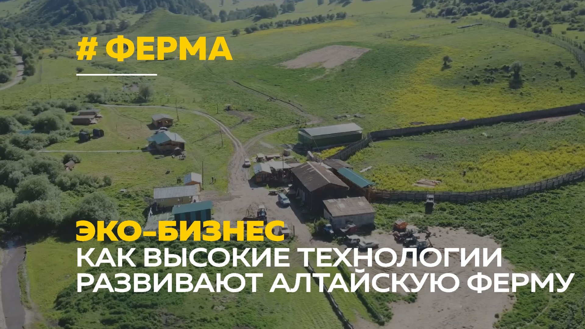 Эко-бизнес на Алтае | Зачем нужен интернет для мараловой фермы