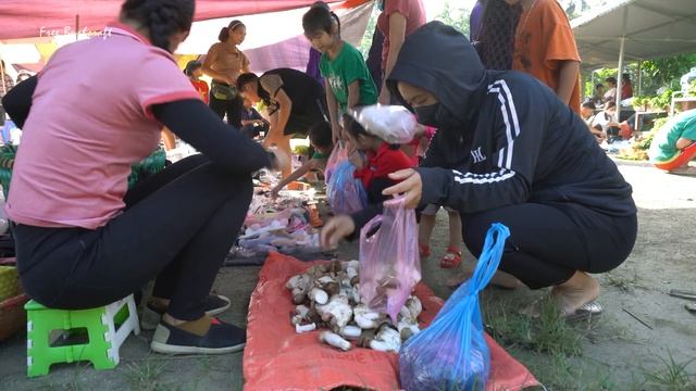 Harvest Mushrooms Grow Under Banana Garden go to market sell, grow vegetable || Free Bushcraft смотреть онлайн