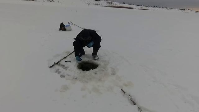 Рыбалка на налима! Река Вилюй! Якутия! FULL HD. WINTER FISHING! смотреть онлайн