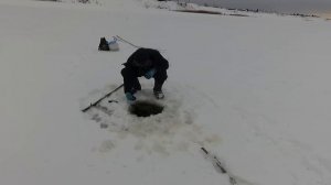 Рыбалка на налима! Река Вилюй! Якутия! FULL HD. WINTER FISHING!