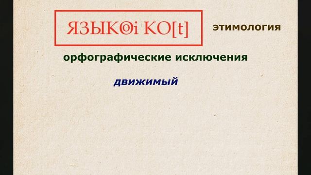 Этимология. История слова