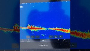 Эхолот Garmin + Panoptix Livescope