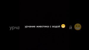пью много воды💧 + урчание после неё