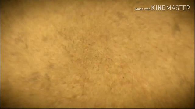 Intro To Borderlands 3 (Marcuses Story) смотреть онлайн