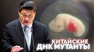 ДНК мутанты из Китая