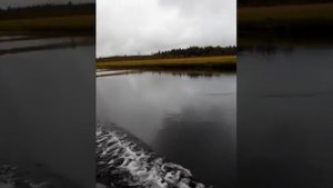 Тохатсу3.5 + лодка аква3200. Глиссер.