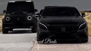 (Adam maniac Remix) Фонтанчик с черным дельфином