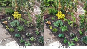 Xiaomi Mi 12 VS Xiaomi Mi 12 Pro | Camera Test