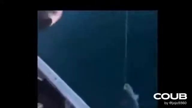 ЛУЧШАЯ РЫБАЛКА НА СВЕТЕ - ЛОВЛЯ РЫБЫ - КАК НУЖНО ЛОВИТЬ РЫБУ