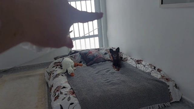 Сняли полностью пустой дом. Что у нас изменилось за месяц? Водохранилище Гермасоя, Кипр смотреть онлайн