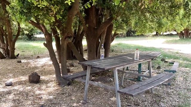 Поездка на север Израиля 19-20.05.2023. Часть вторая. смотреть онлайн