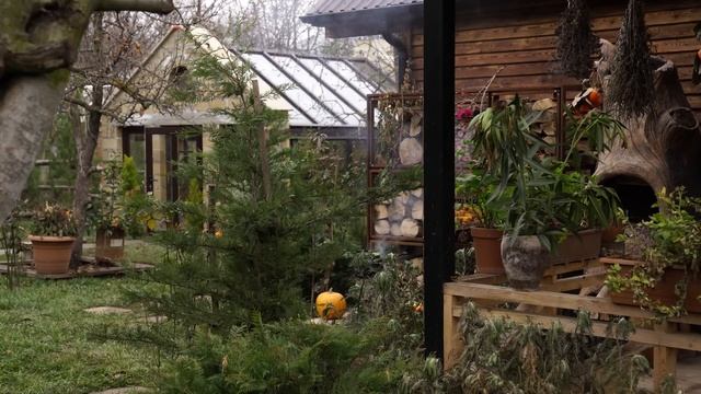 BEST FOOD TO COOK FOR HOLIDAYS: Spicy Stuffed Pancakes @country_life_vlog смотреть онлайн