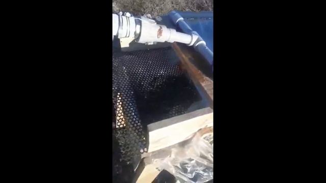 Первая промывка золота на старательском участке