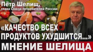 Пётр Шелищ, глава Союза потребителей России: "Качество всех продуктов ухудшится..."