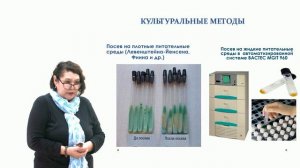 Этиология и патогенез туберкулеза