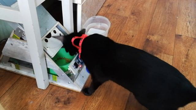 Кормушка смотреть онлайн