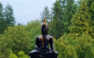 Музыка для медитации