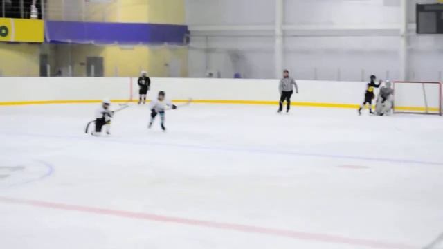 Праздник Олимпийского флага в Белой Церкви. Хоккейный матч. Гол "белых" смотреть онлайн