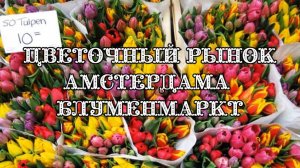 Цветочный рынок Амстердама Блуменмаркт