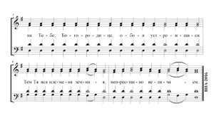 Задостойник на Рождество Богородицы. Обиходный. Альт