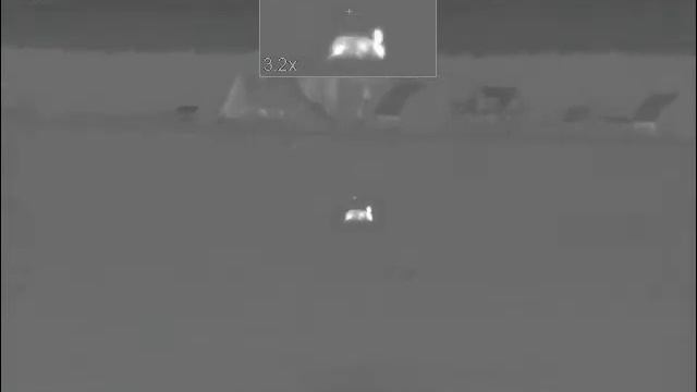 Pulsar Trail XP50 смотреть онлайн