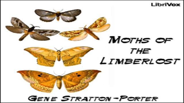 Moths of the Limberlost | Gene Stratton-Porter | *Non-fiction, Nature, Science | Soundbook | 2/3 смотреть онлайн