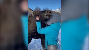 Зам. главы Администрации Можайского ГО Азаренкова Мария Григорьевна в Подмосковном Сафари-парке.
