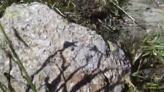 Алмата , Медео Чимбулак 2017 смотреть онлайн