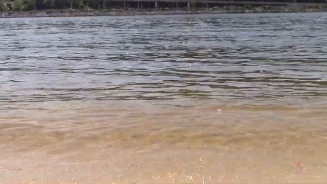 Уходим разно или розно Трогательные стихи Олег Чухонцев