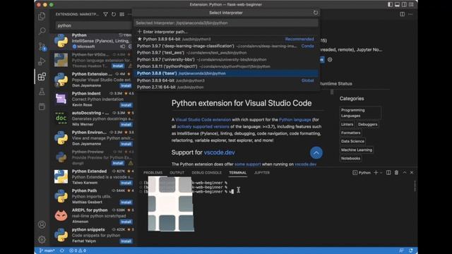 How to Set Python Interpreter in Visual Studio Code смотреть онлайн