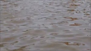 2018 Горячий источник Тобольска, Винокурова.