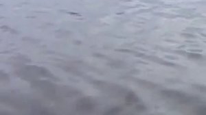 удача на рыбалке!!!