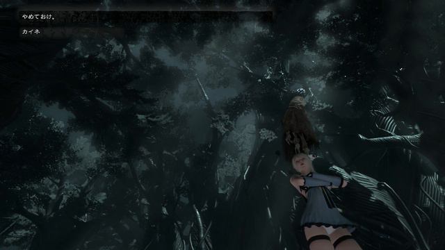 【命知らず】カイネのパンツを10回覗くと…【ニーアレプリカント】 смотреть онлайн