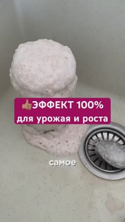ТОЛЬКО яйца, а урожай ведрами!