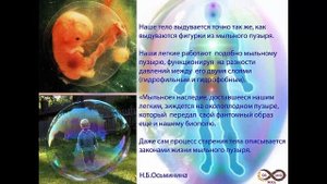 ЦИТАТЫ Н.Б.ОСЬМИНИНОЙ сборник 4