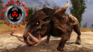 Кабан - Таран Чернобыльский - STALKER CoP 1.6.02