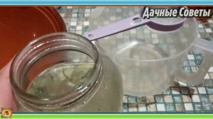 Как избавиться ОТ ТЛИ в огороде НАВСЕГДА Работает уже после первого опрыскивания Дачные Совет