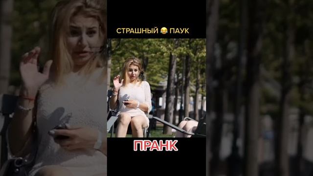 Паук на девушке пранк